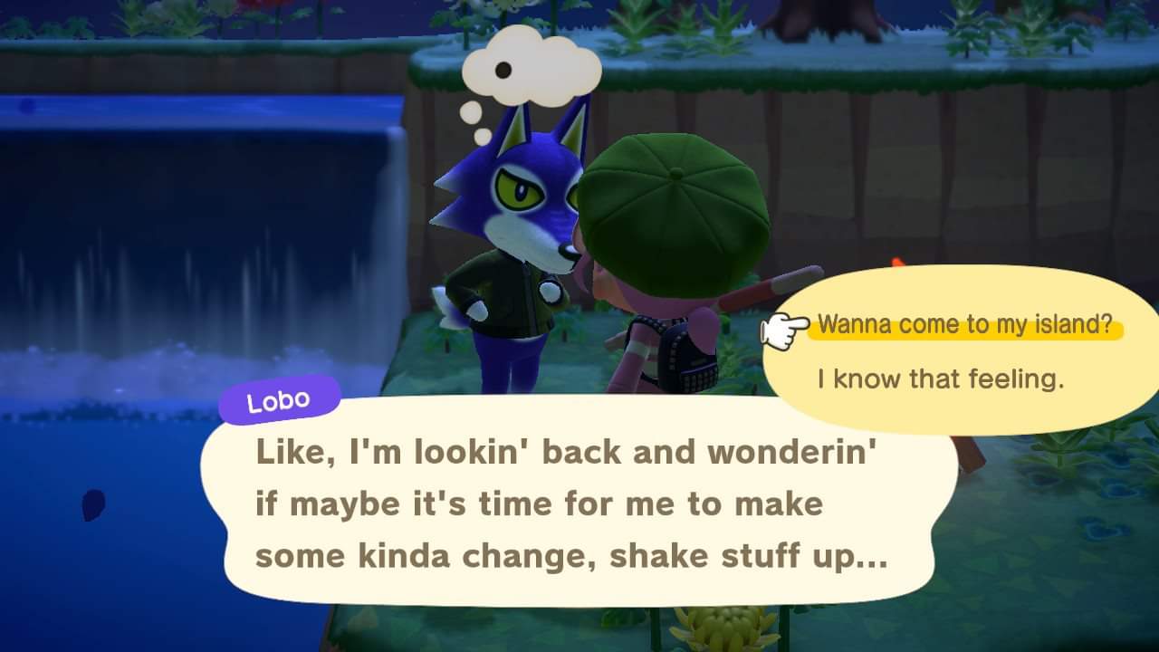 Lobo Is Moving In I Have Three Wolves Now Animalcrossing