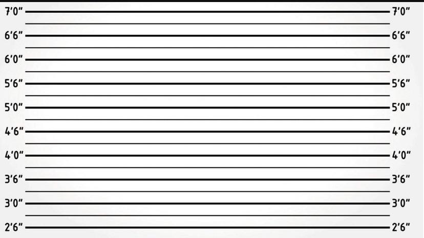 mugshot background. for some reason my boss found this on mugshot wallpapers