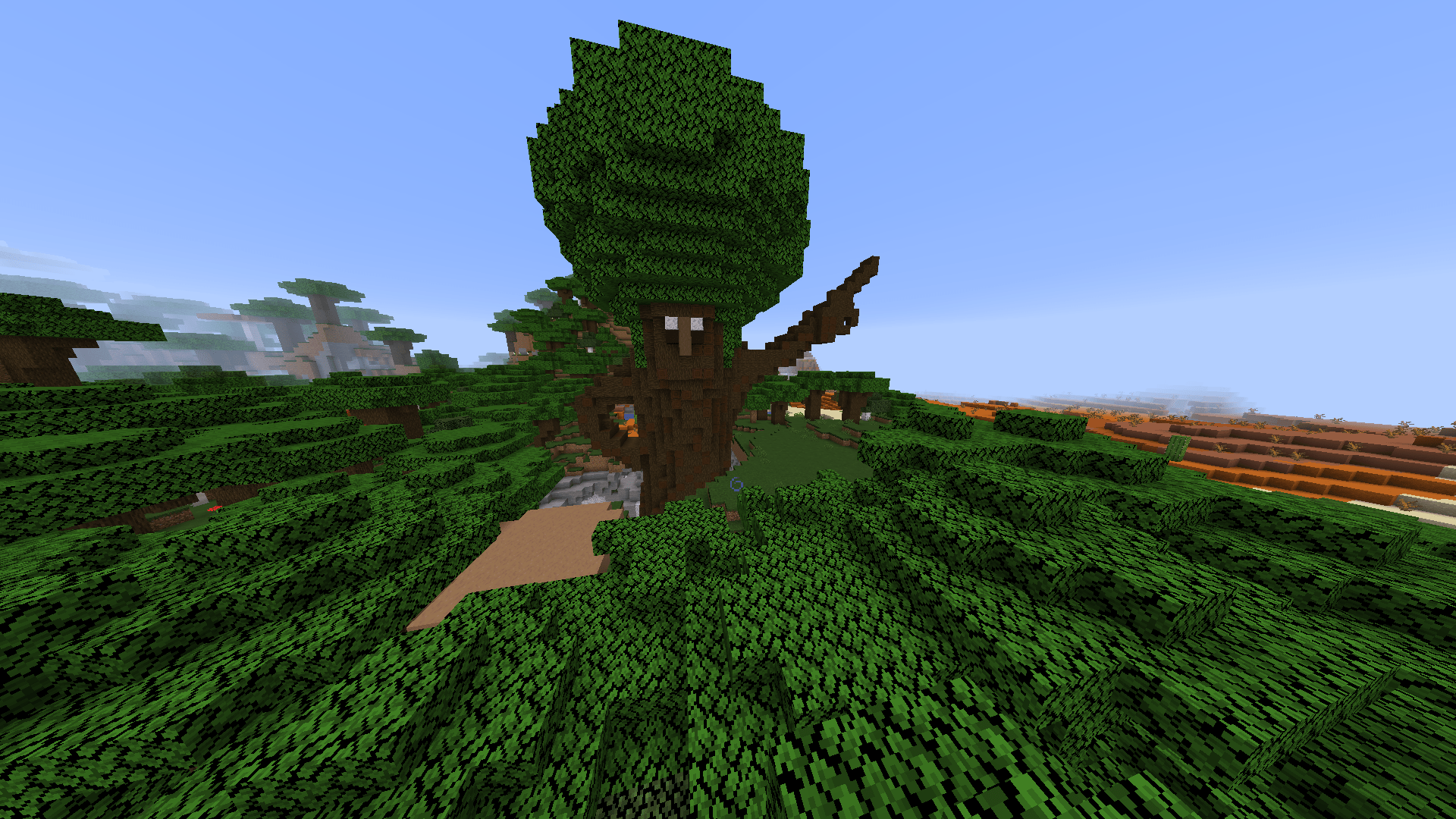 Mature Elder Tree Sambucus Nigra Stock Photo Alamy