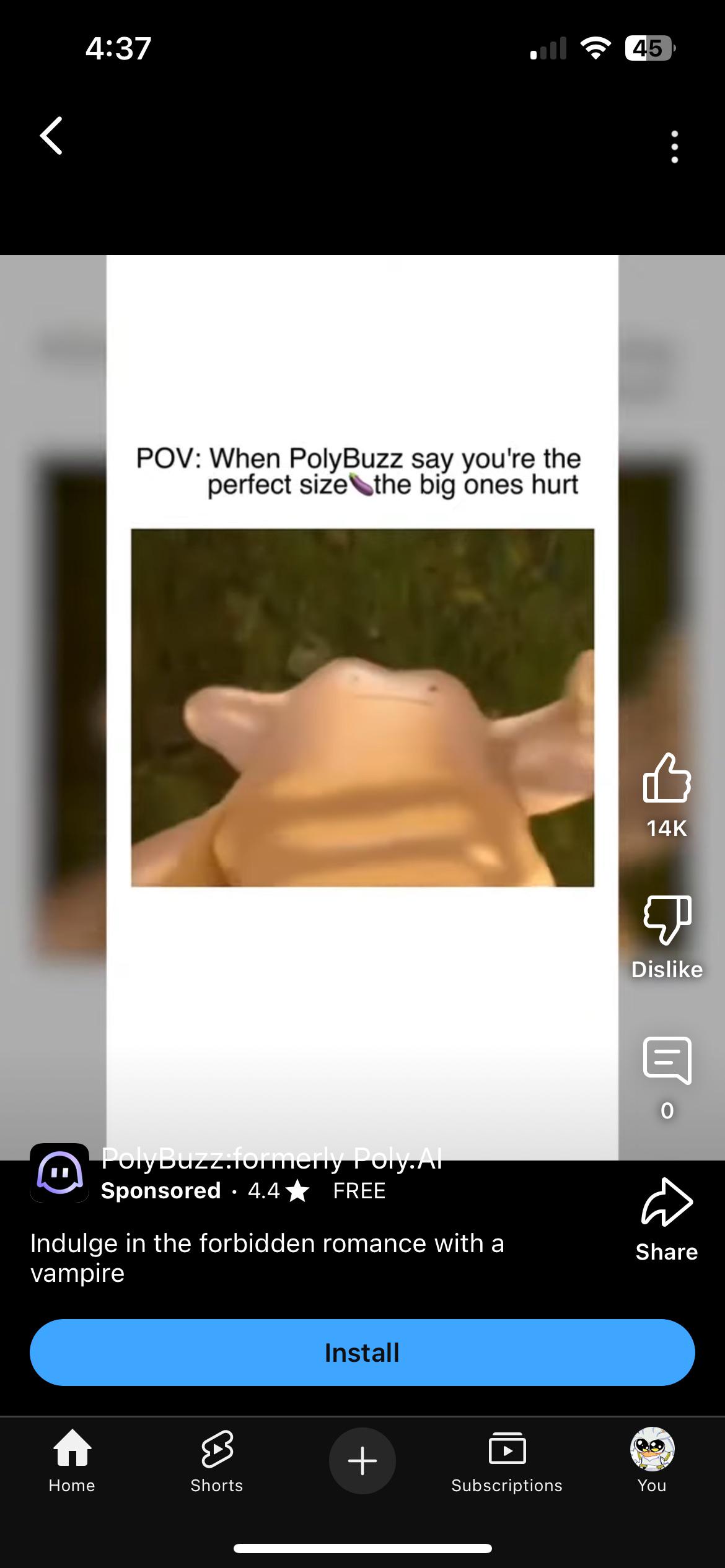 I Got Ditto Porn As An Ad : ryoutube