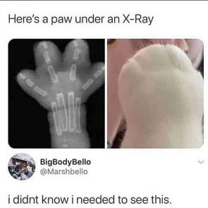 ????????