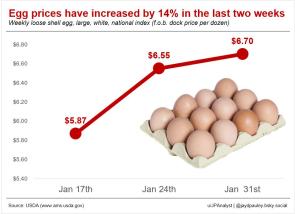 [OC] Egg prices in the U.S. have increased by 14% in the last two weeks