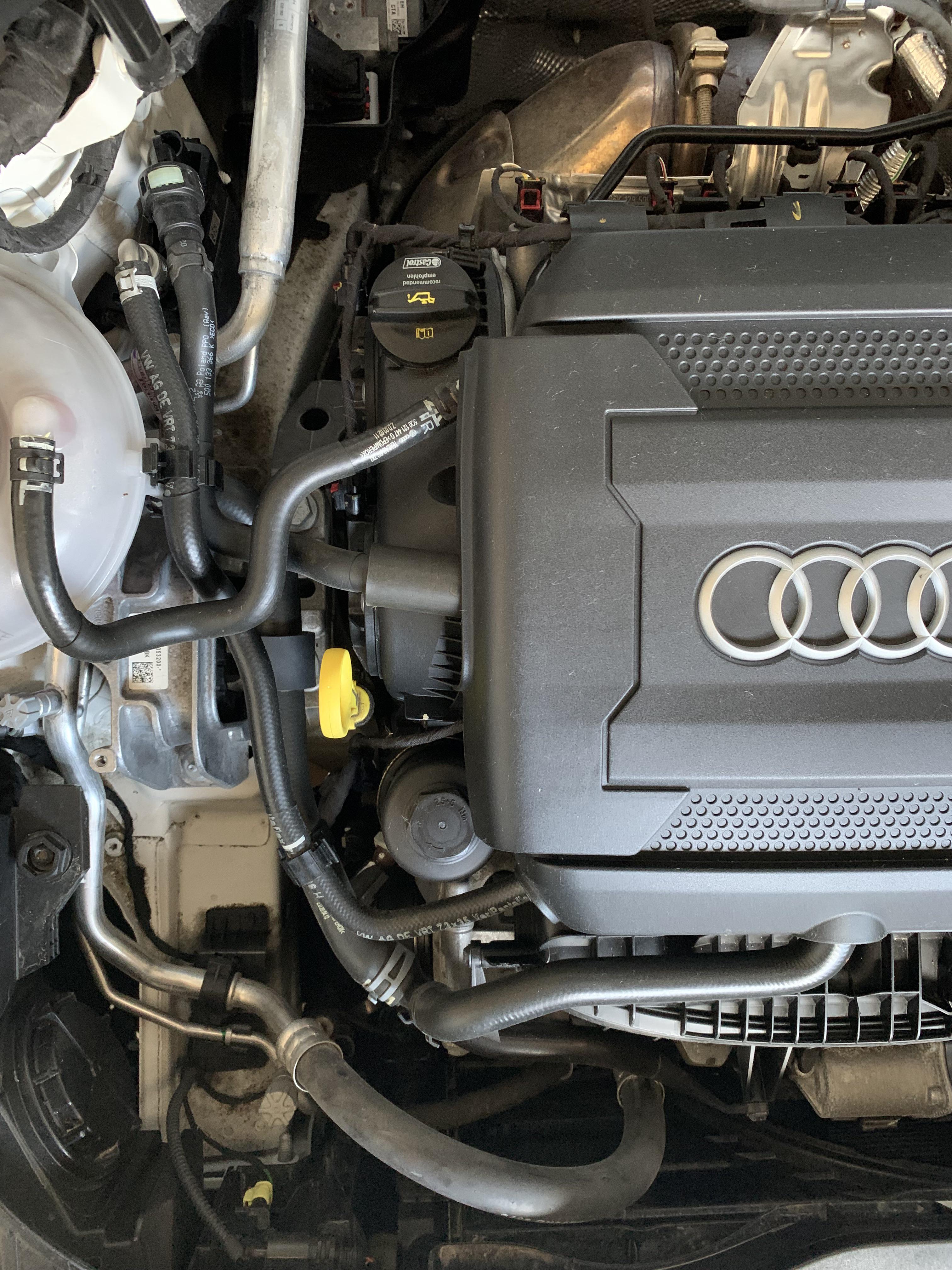 Help audi a3 oil leak. its pooling on the road guard right underneath