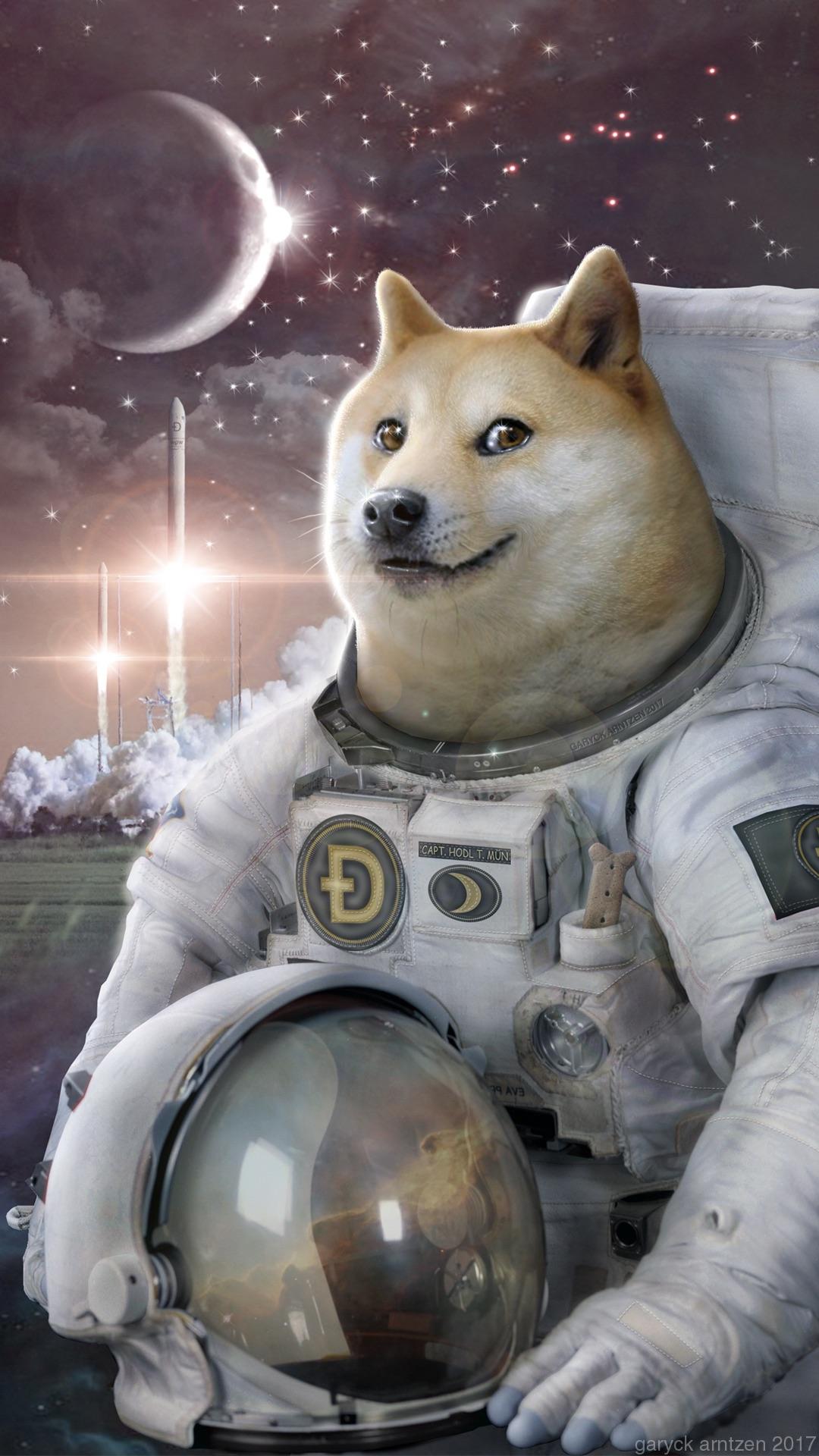Dogecoin To The Moon Png : To the Moon : dogecoin