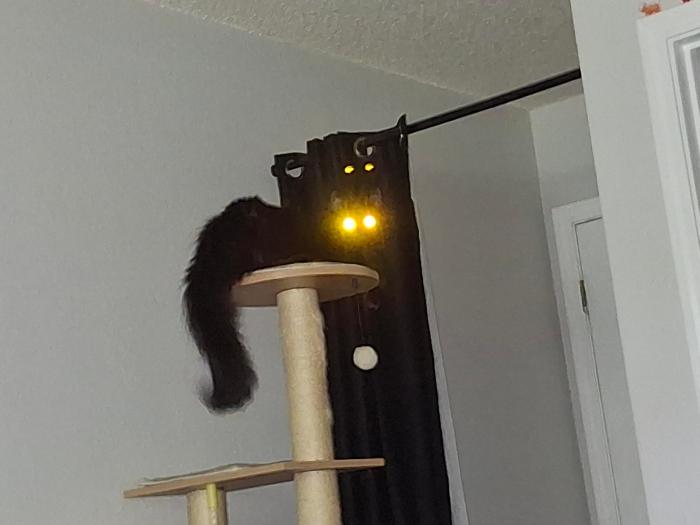 thekatmaster