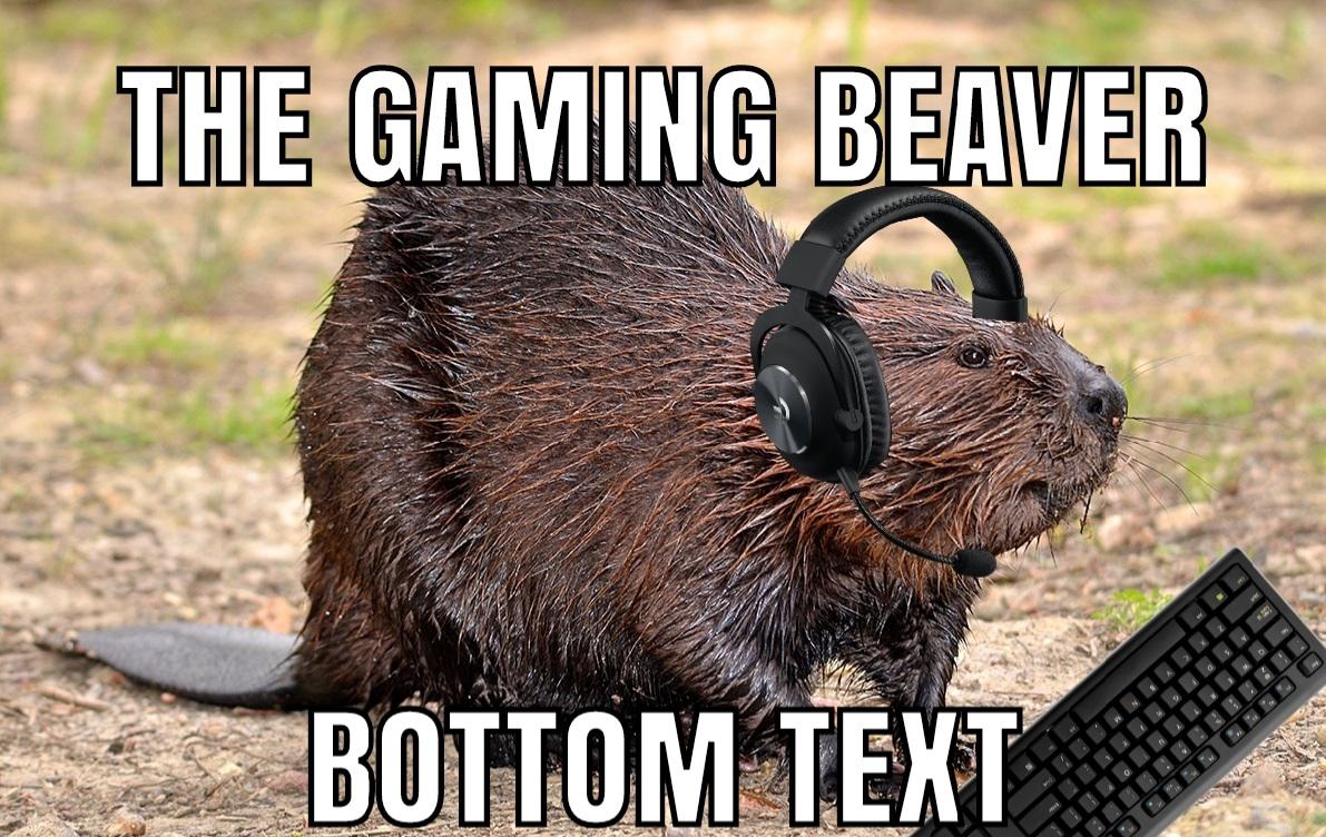 Is The Gaming Beaver Kid Friendly At Matilda Fraser Blog 