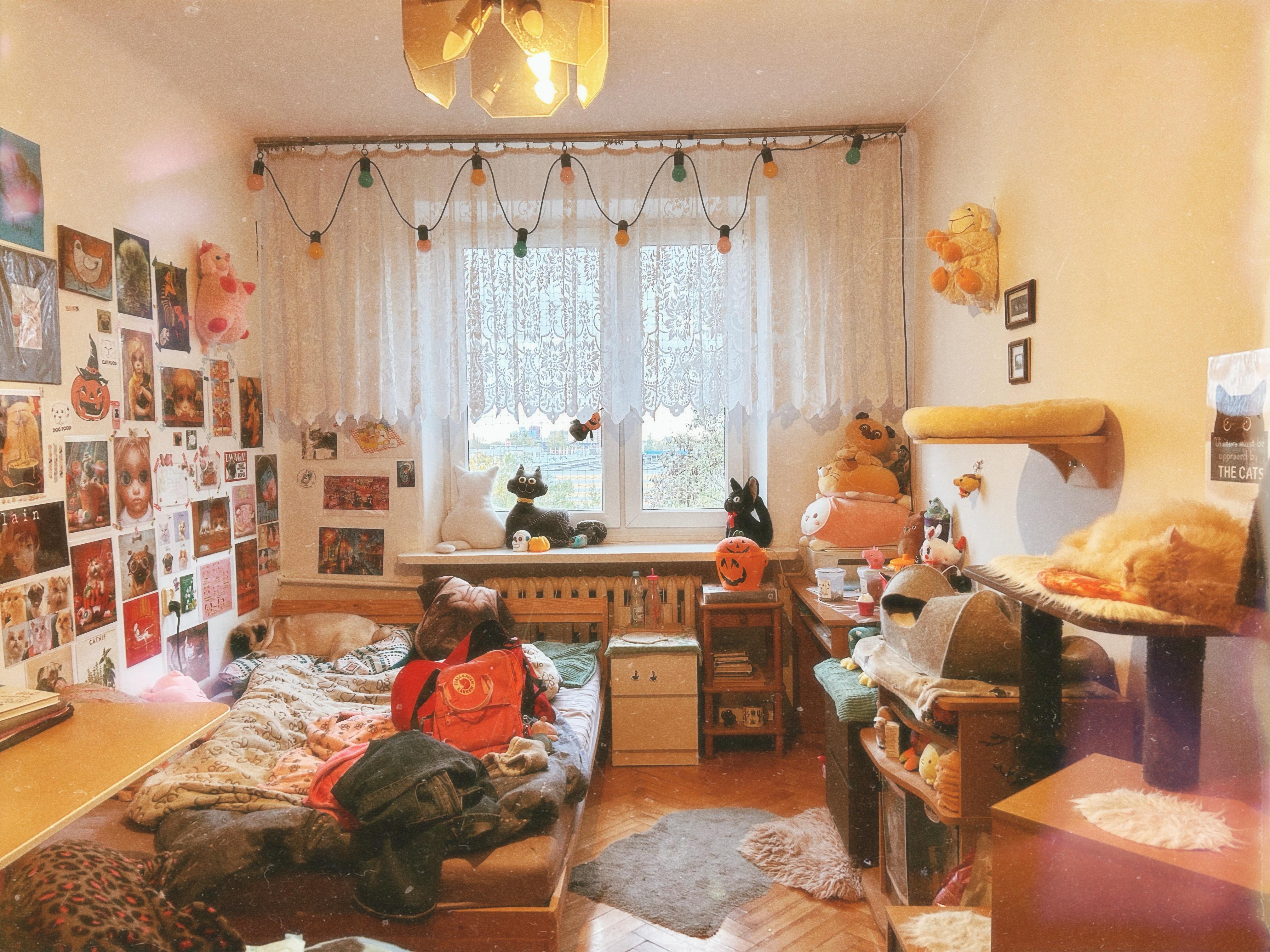 My messy yet cozy room : rAmateurRoomPorn