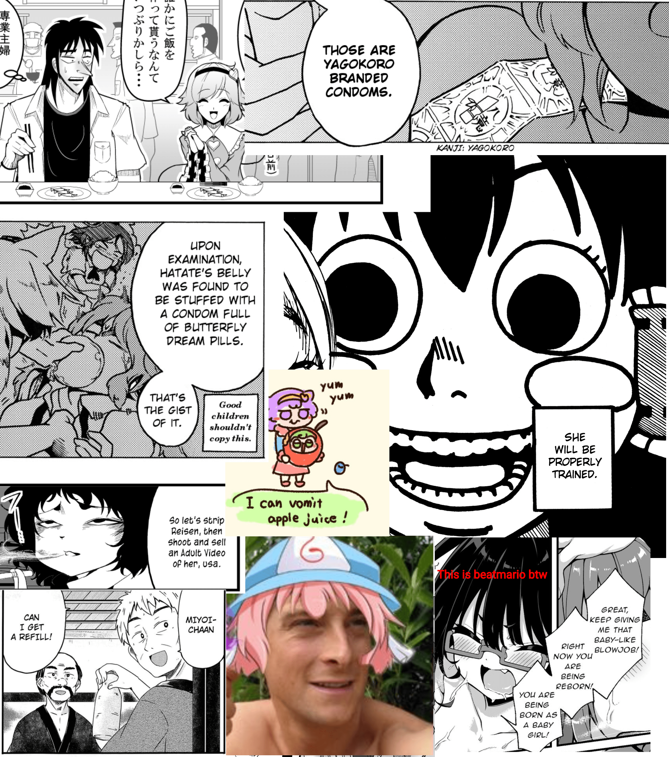 849 best Doujin images on Pholder | Animemes, 2hujerk and Touhou