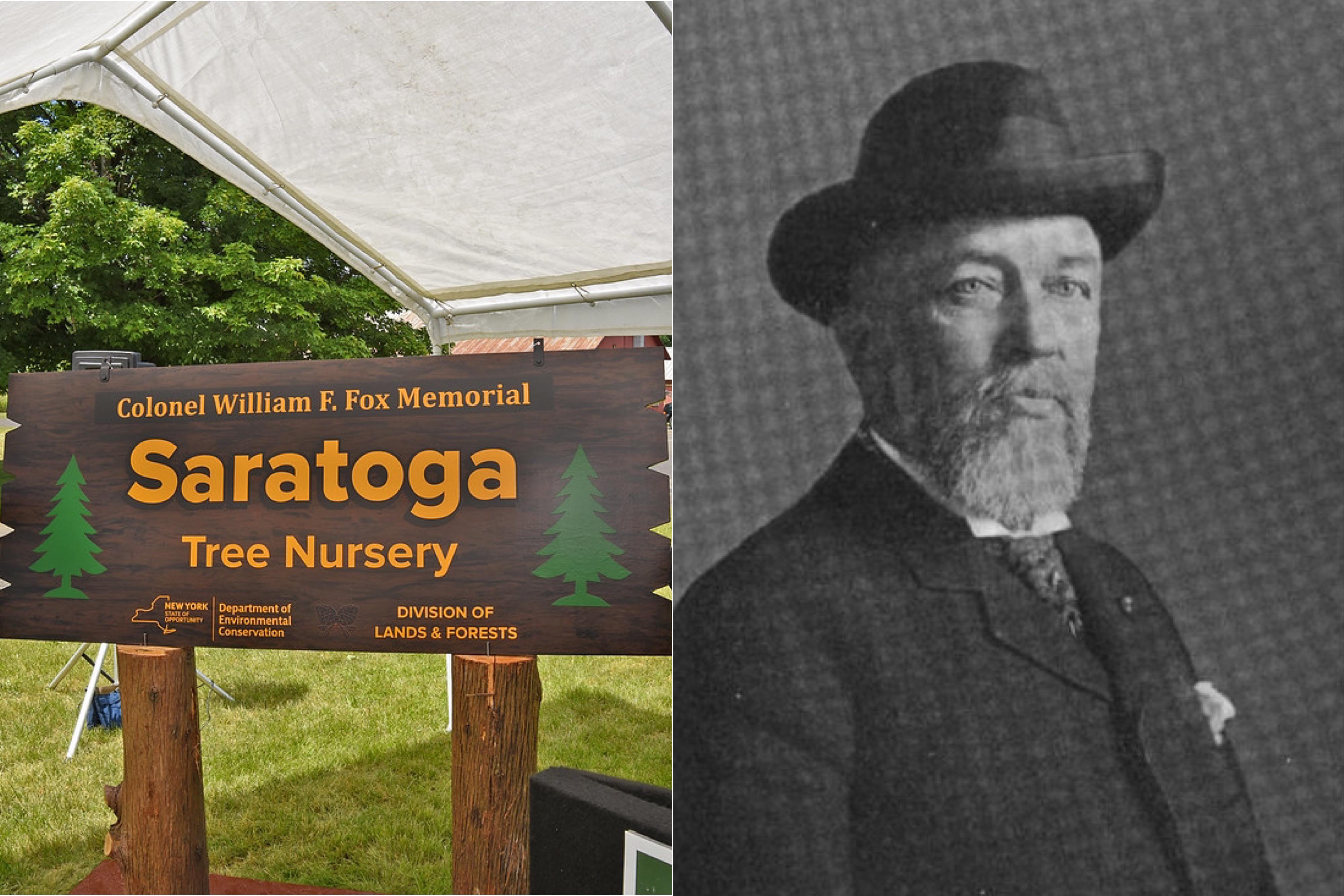 The new york state tree nursery at saratoga produces 1.5 million seedlings a year. it is named