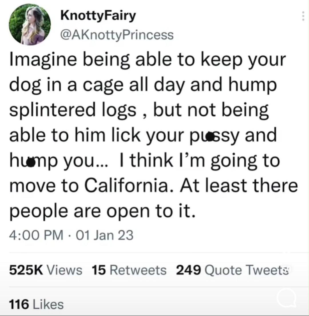 Fuck splintered logs : rBrandNewSentence