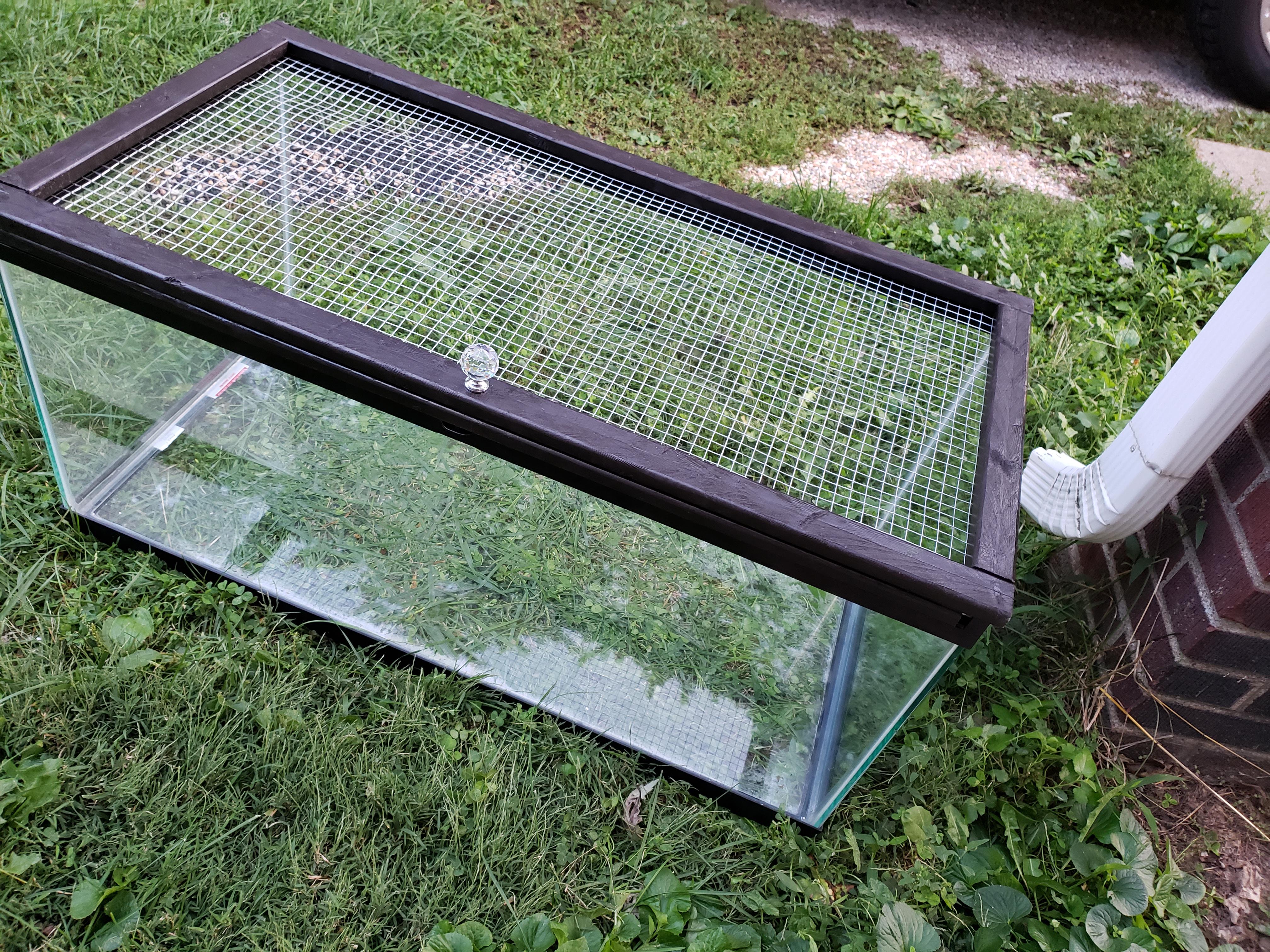 Made A Diy Lid For A 40gal Breeder Tank Step Step Pics On Imgur If Anyone S Interested S Imgur Gallery Lb8prkx Hamsters This is because it gives you lots of stocking options and lots of different species can thrive in this tank. Made A Diy Lid For A 40gal Breeder Tank Step Step Pics On Imgur If Anyone S Interested S Imgur Gallery Lb8prkx Hamsters All About 40 Gallon Fish Tanks The 40 Gallon Fish Tank is one of the most popular beginner fish tanks.