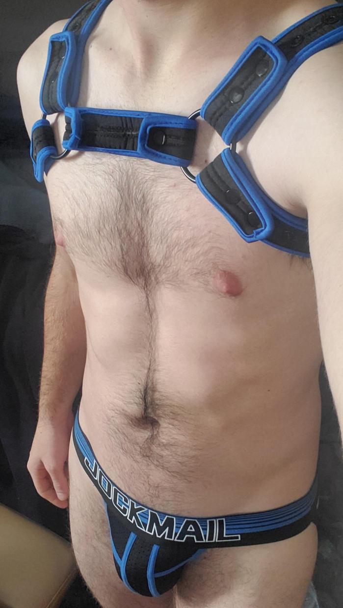 Robbear92sPup