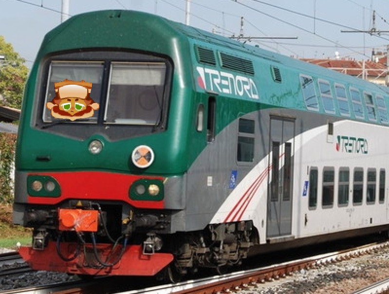 Trenord - Reddit Post And Comment Search - Socialgrep 604_x_799_jpg