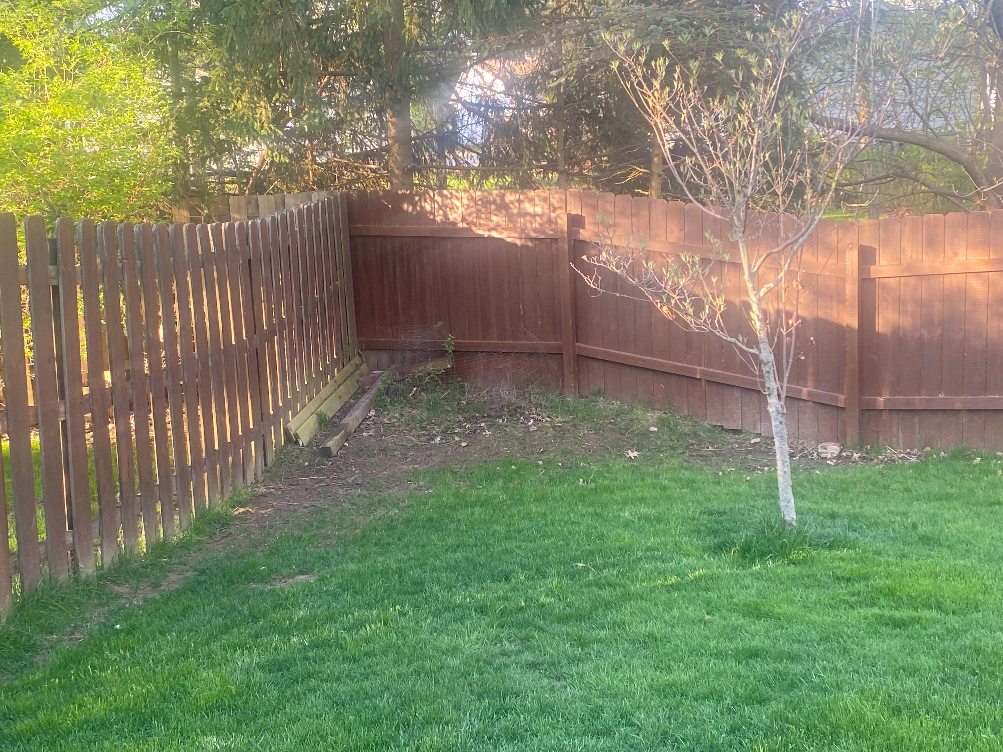 Awkward corner near fence- ideas needed