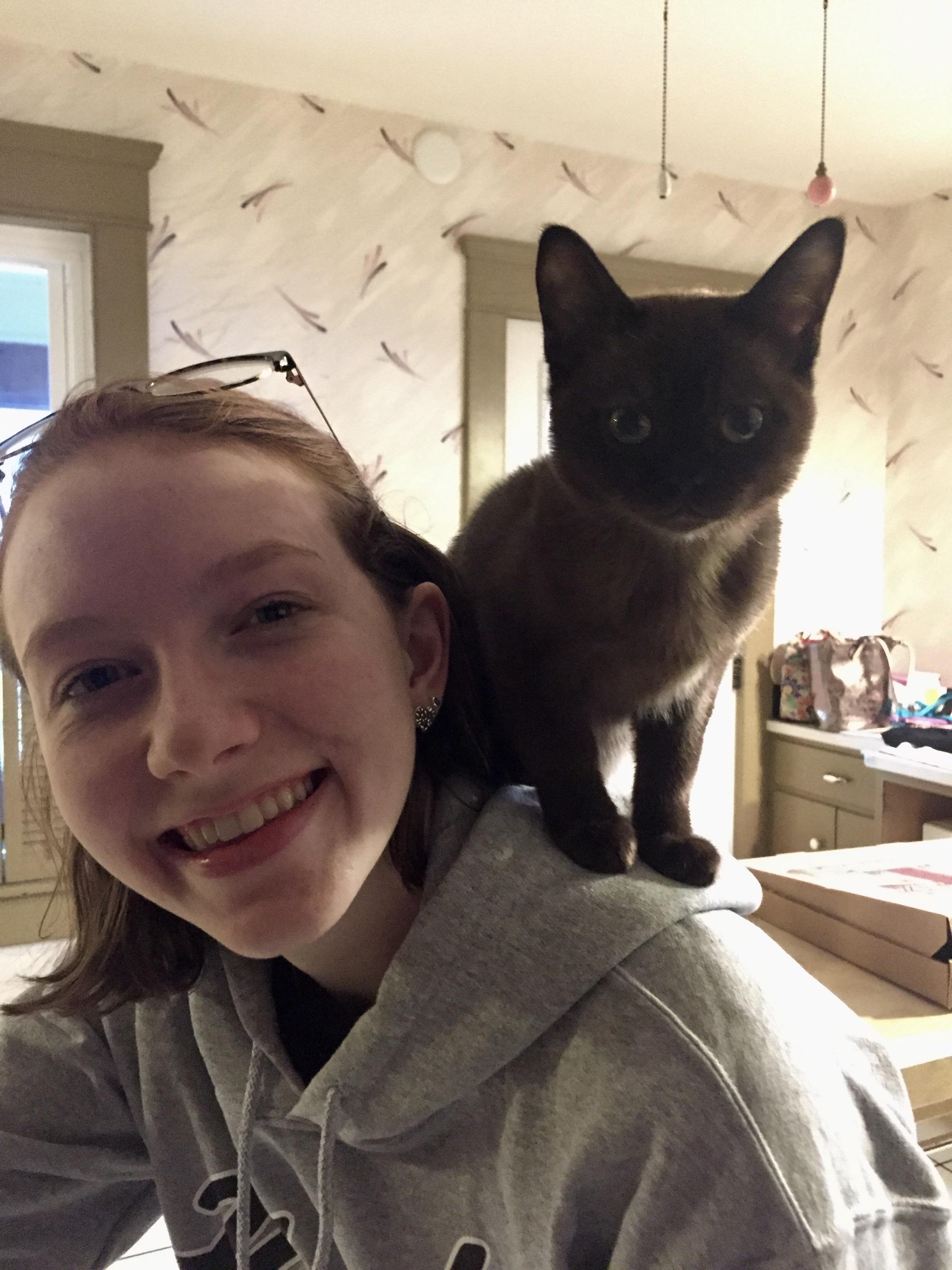 Shoulder kitten- starting him young