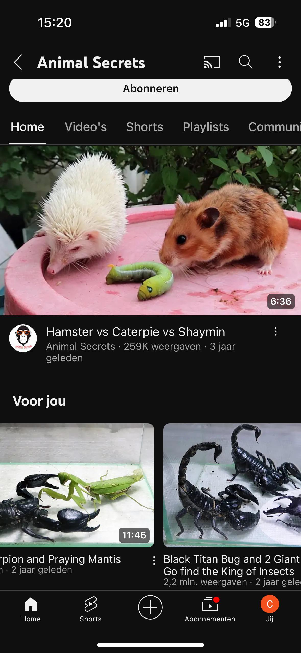 How is this allowed?? : ryoutube