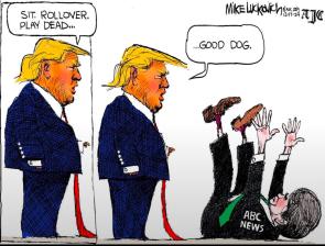 Who’s the goodest doggo