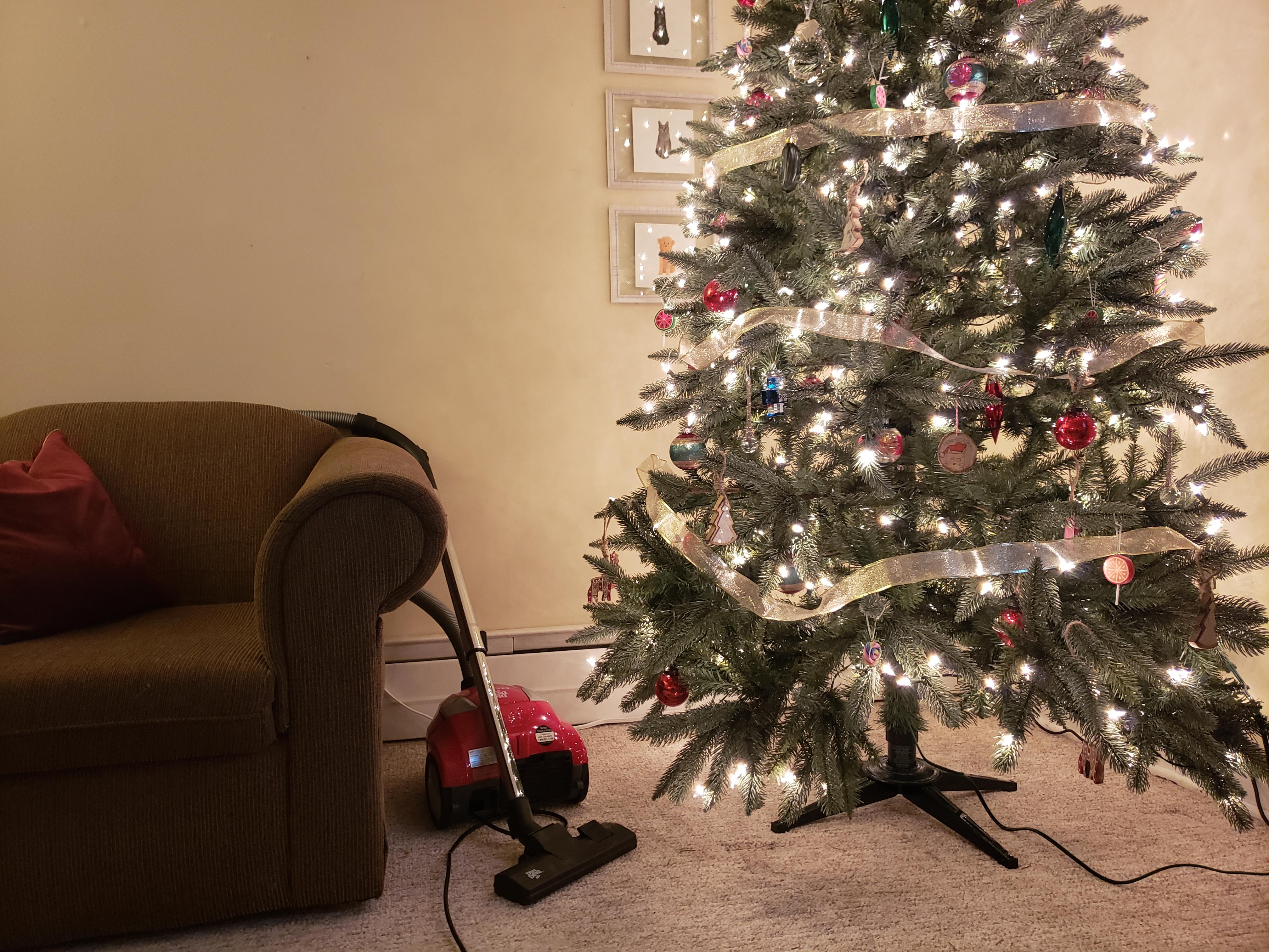 Simple Trick To Keep Cats Out Of The Christmas Tree Hometalk