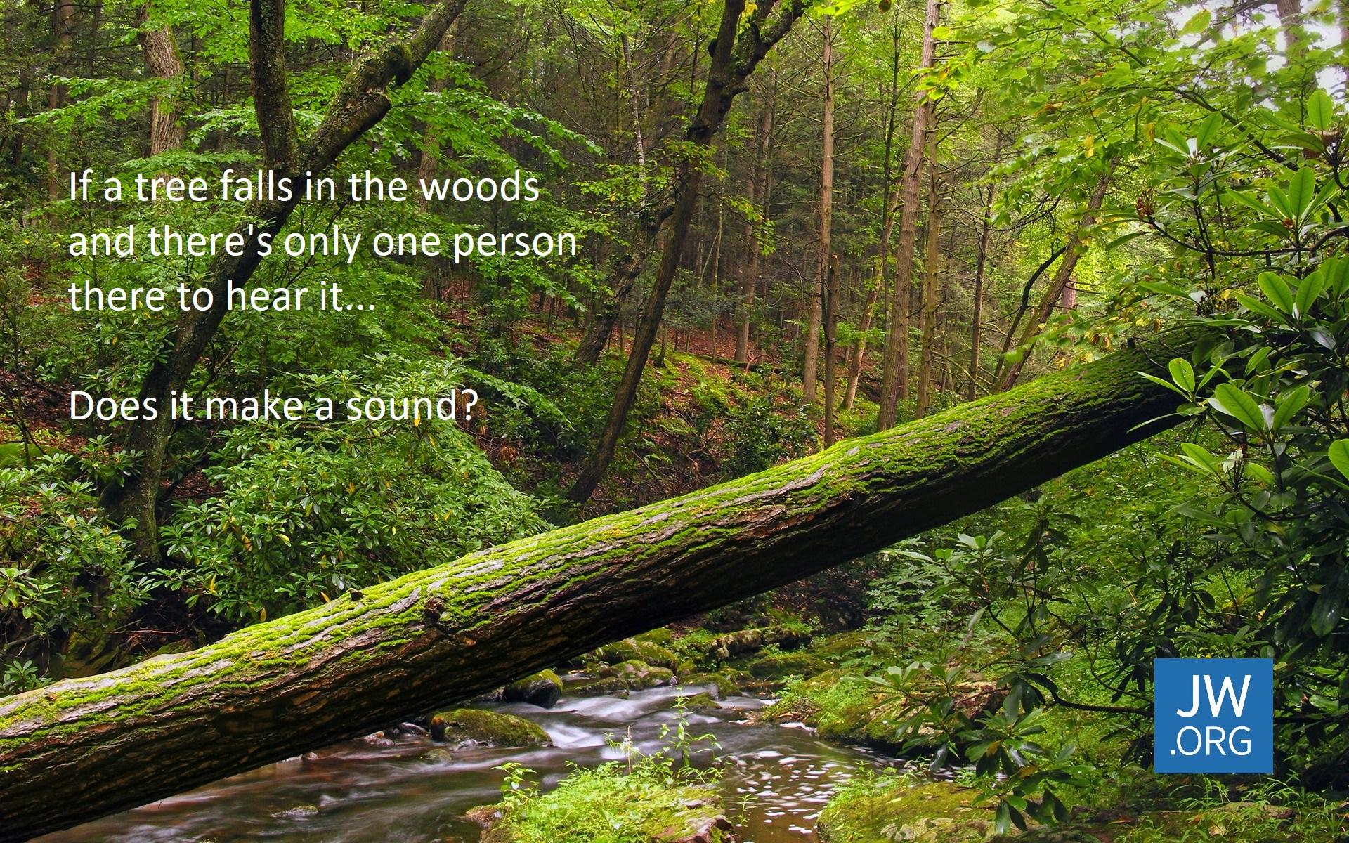 If A Tree Falls In The Forest Cartoons And Comics Funny Pictures From Cartoonstock