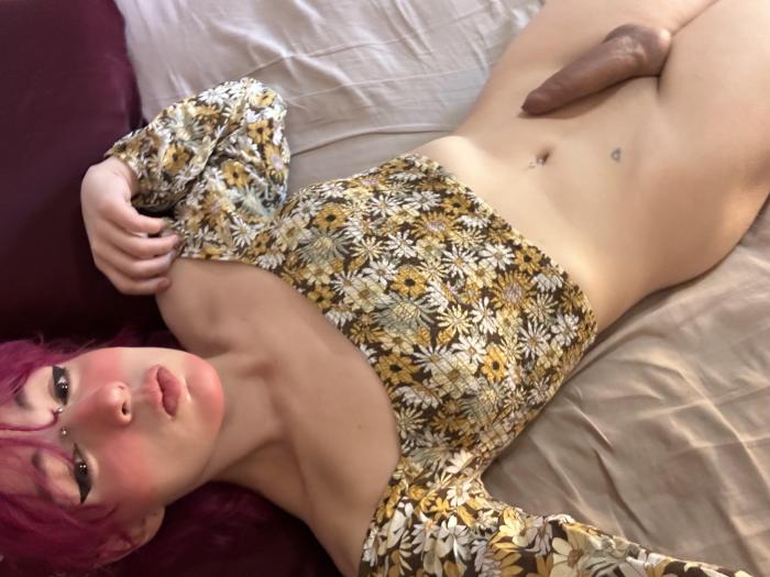 starrkitten_