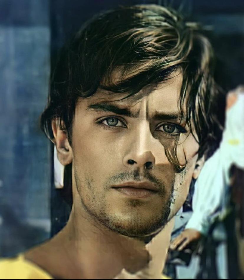 After a brief apprenticeship as a butcher, he enlisted as a french marine and in. Alain Delon 1960s Ladyboners