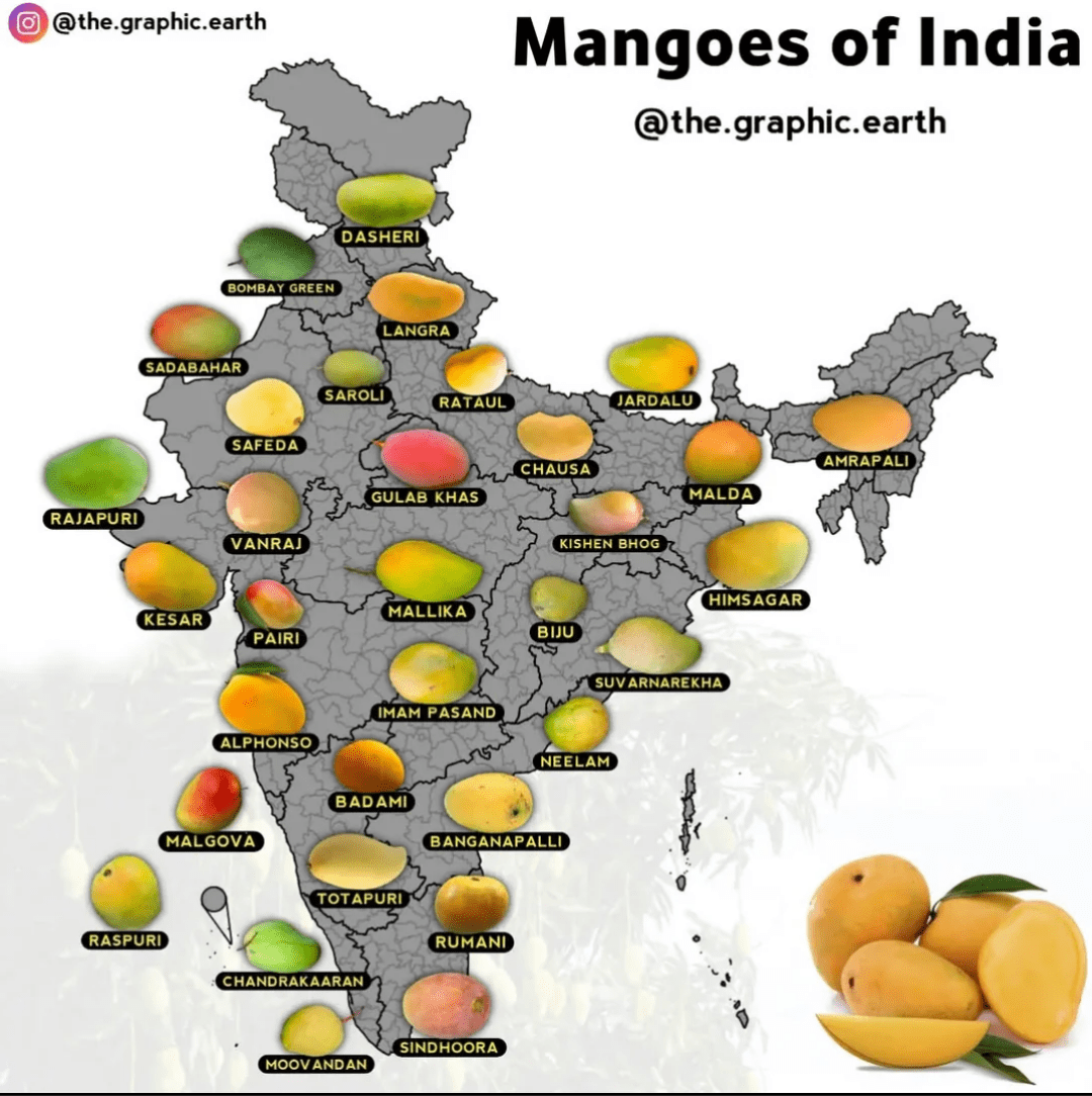 Mango Map of India : rMapPorn