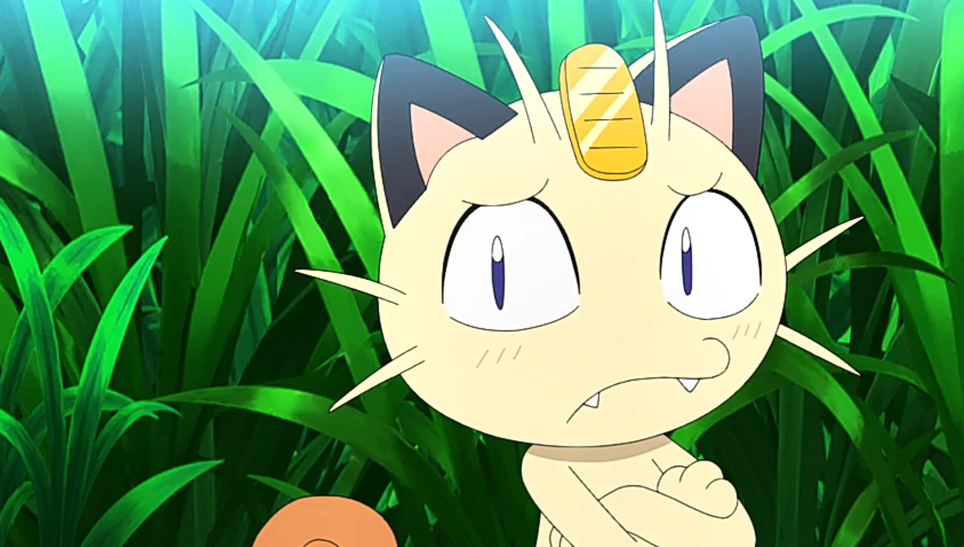 Ash catches meowth at justin plant blog