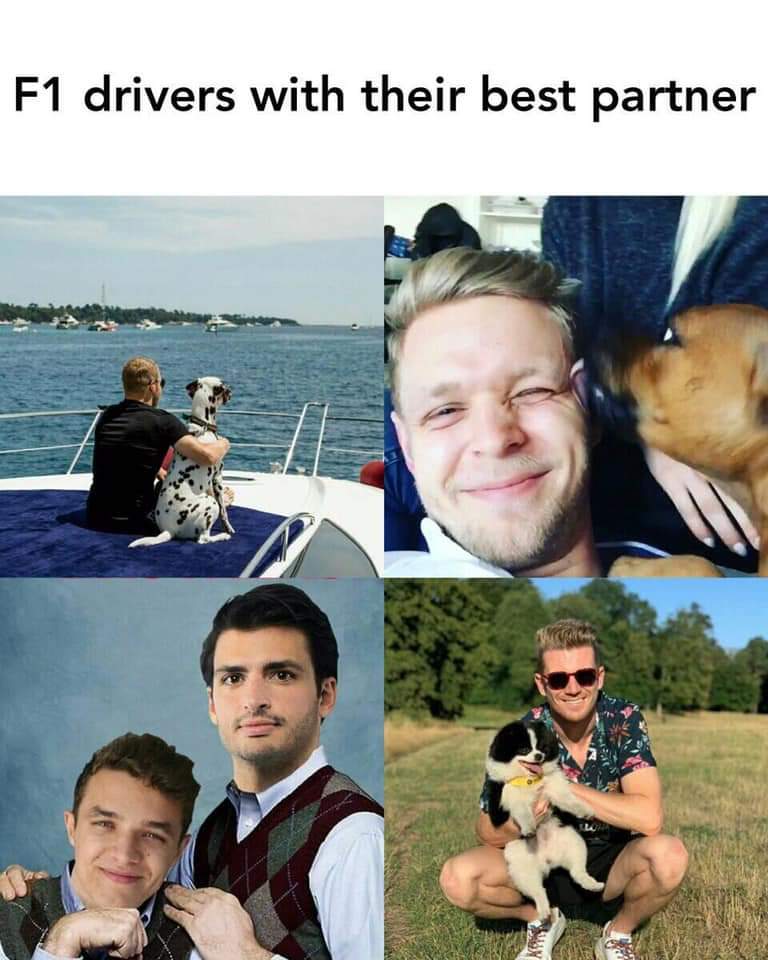 F1 Drivers With Their Best Partner Formuladank