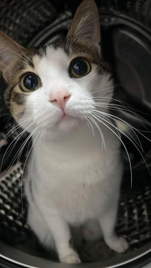 OMG 🥺 I’m melting over his eyes 🫠