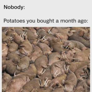 evolved while I was busy