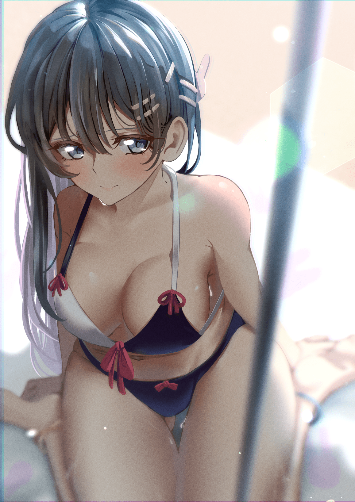 Sakurajima Mai Hentai