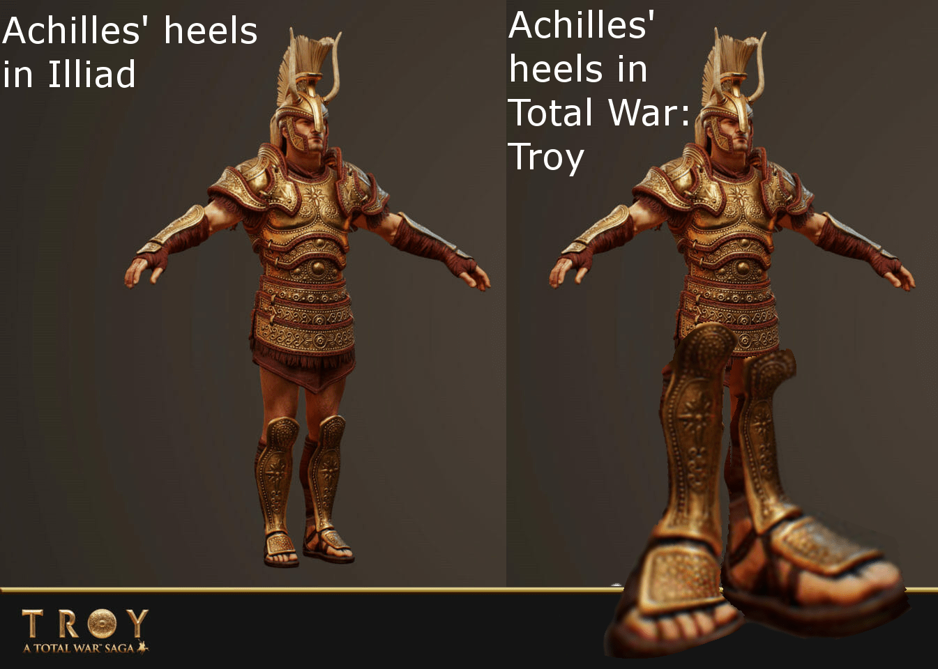 Ashley top Tervort Model