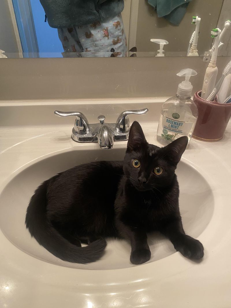 Sink Void R Voidcats - Download Creative Sunset Image | Desktop