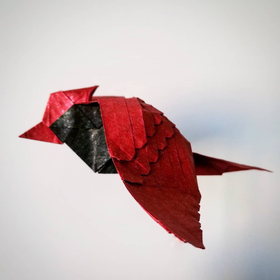 10/08/2016 · beth johnson has actually designed several origami owls, here’s a third design by her that incorporates 3d shapes and a tessellation. Cardinal Designed By Beth Johnson And Folded By Me R Origami