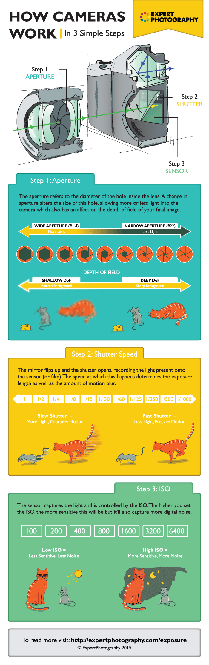 How Camera Works Simple HOW CAMERAS WORK – coolguides