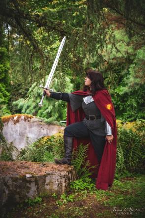 I want to a ren faire last year as a female knight of Camelot :)