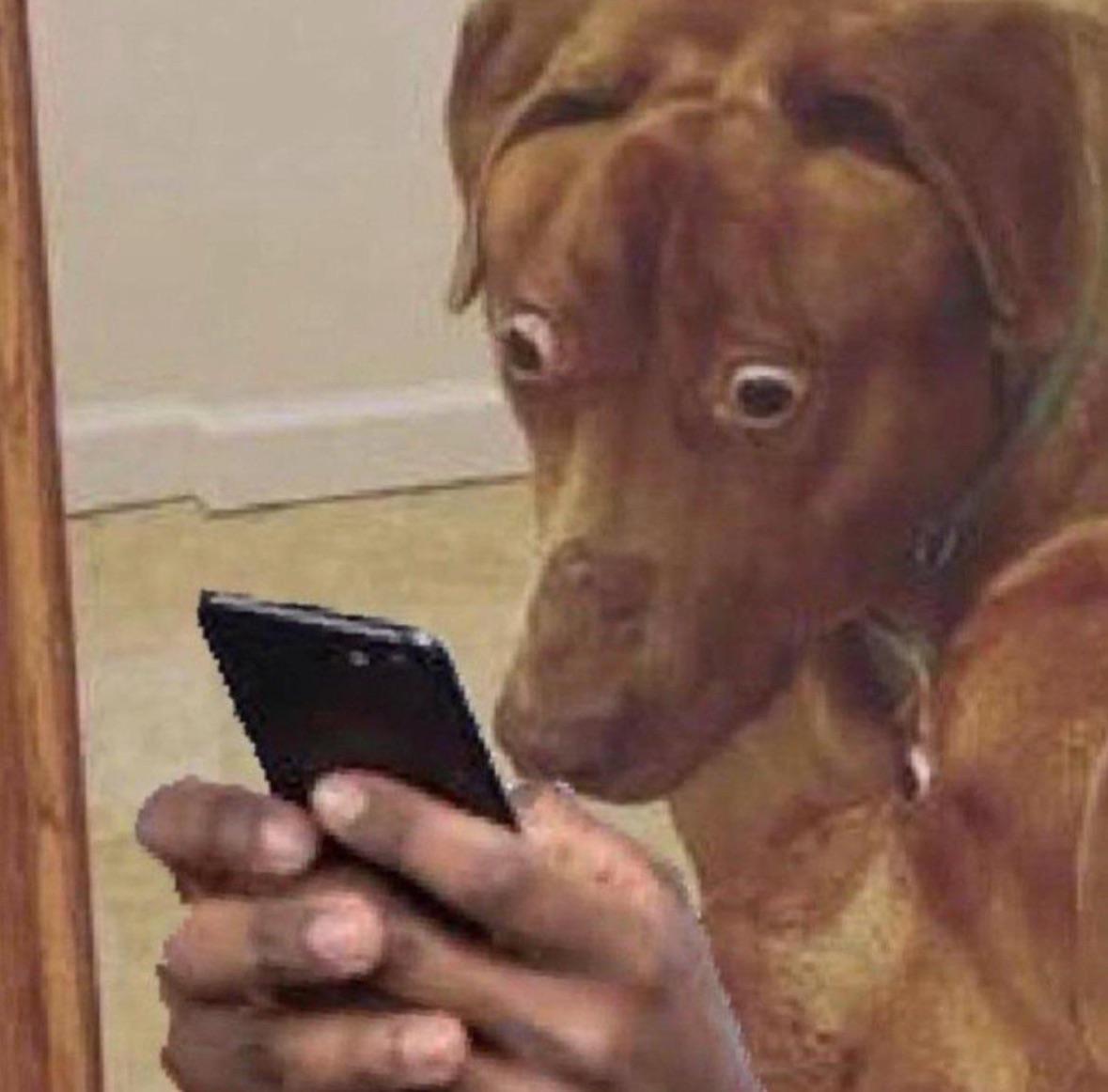 Bus in Pennsylvania found carrying animals used for alleged bestiality;  driver arrested : rPennsylvania