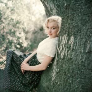 Marilyn Monroe photographed by Milton Greene in Laurel Canyon, Los Angeles on September 1953.