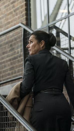 Sidse Babett Knudsen, 53