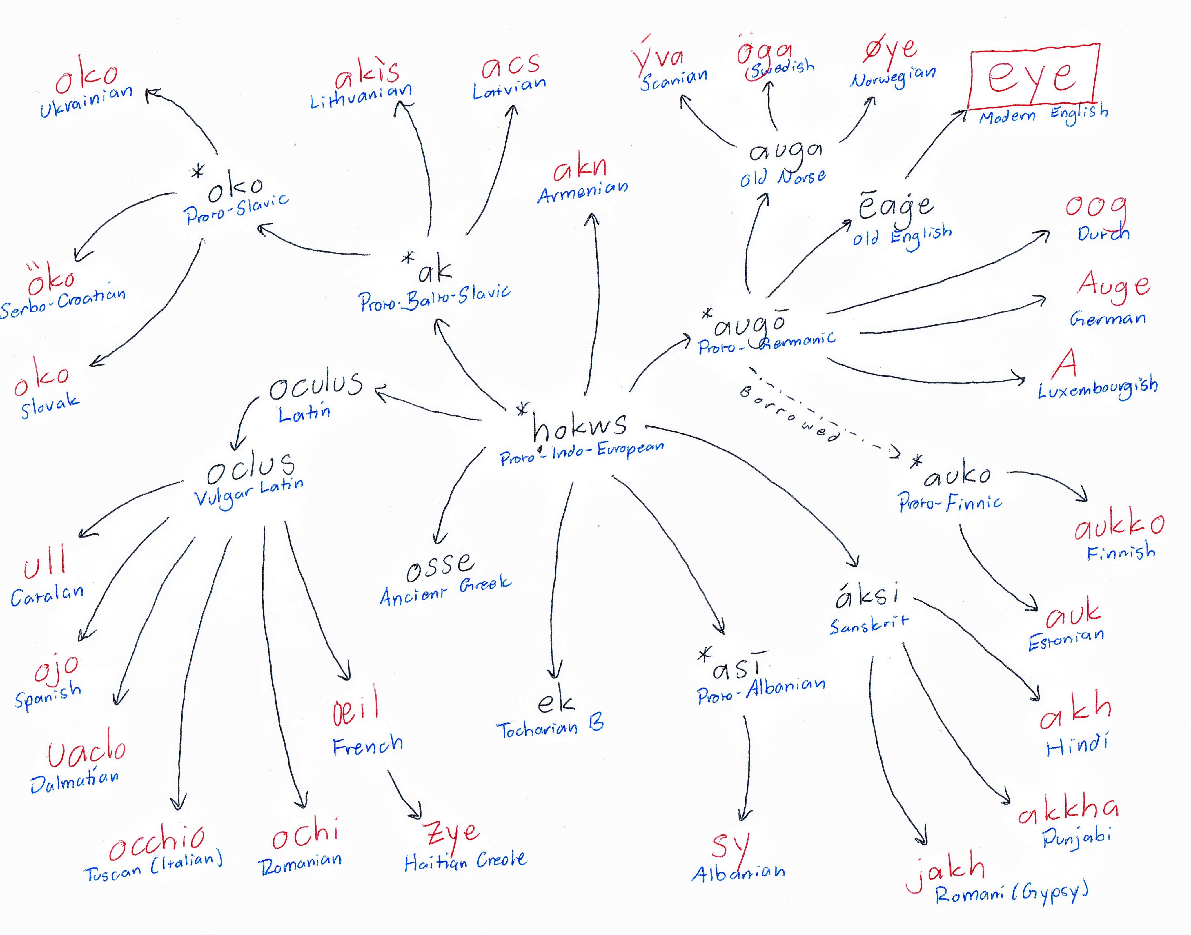 The Indo European Family Of Languages