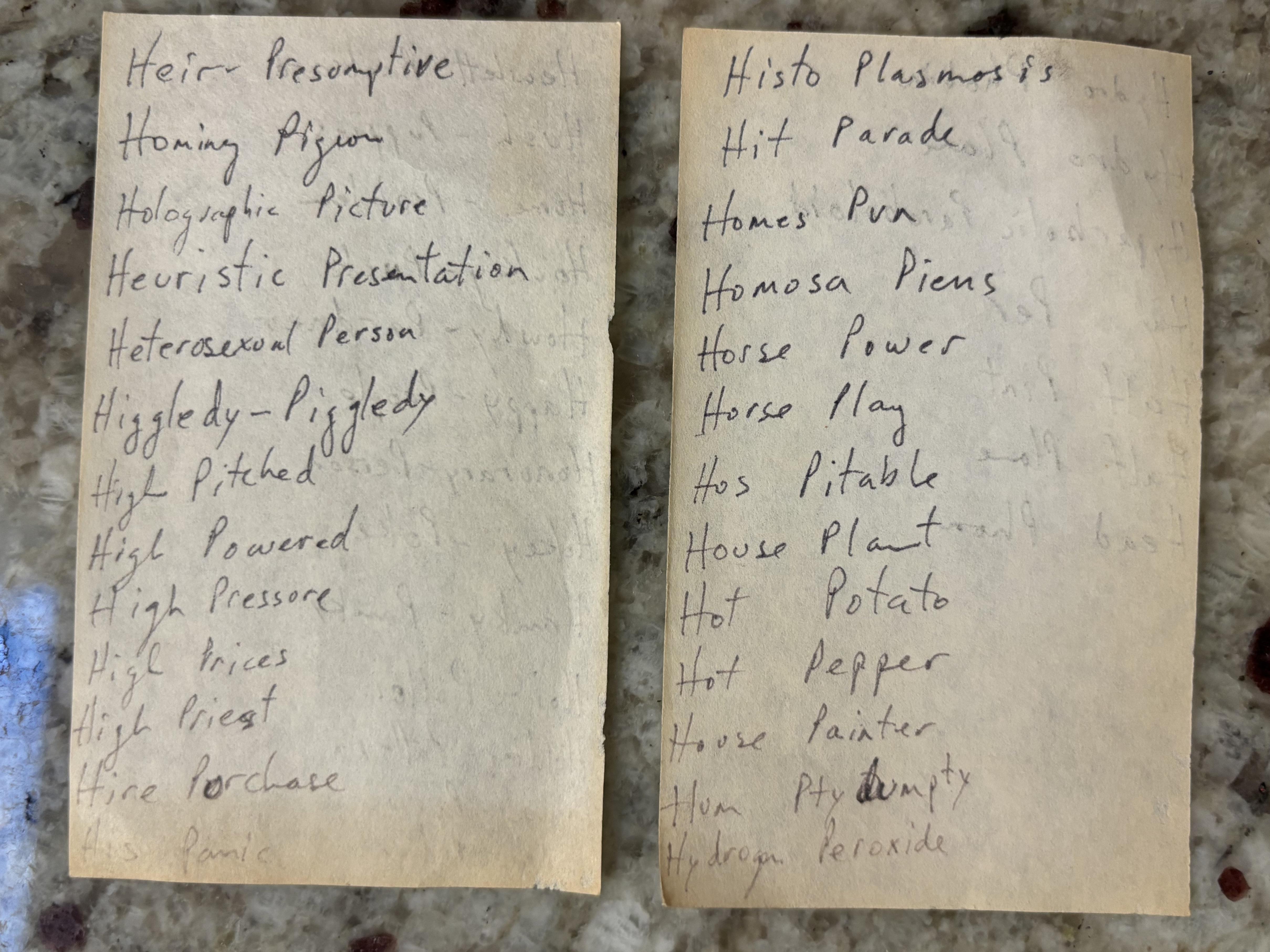 Found in a toolbox bought at an estate sale, tiny notebook pages containing  a list of phrases with words starting with H and P : rmildlyinteresting