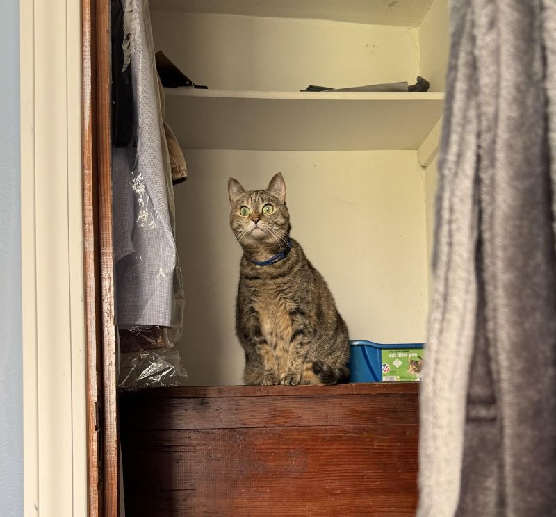 Nam Flashbacks R Dankmemes - Best Abstract Designs in 4K