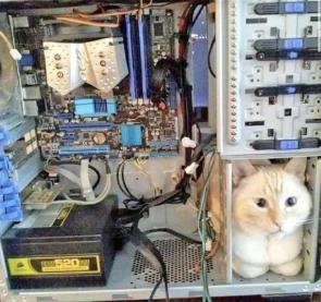 blursed__pc
