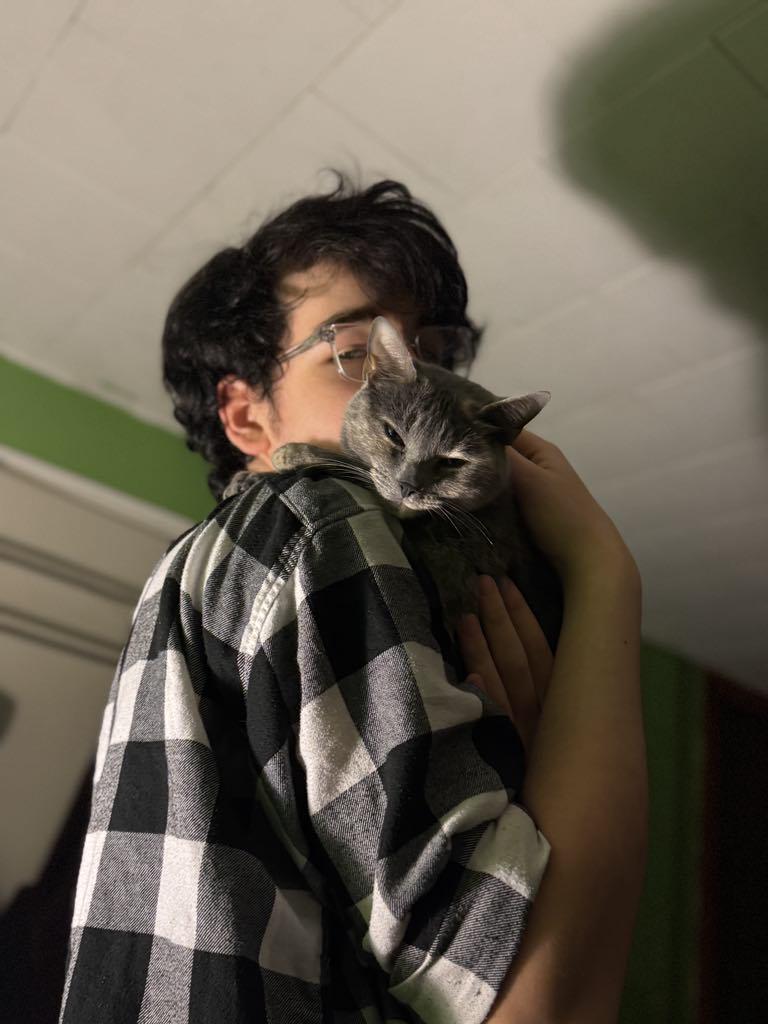 My cat got ran over by some drunk fuck, but being the ever so sane and  stupid teen i was i followed his car (dumb i know) : rcats