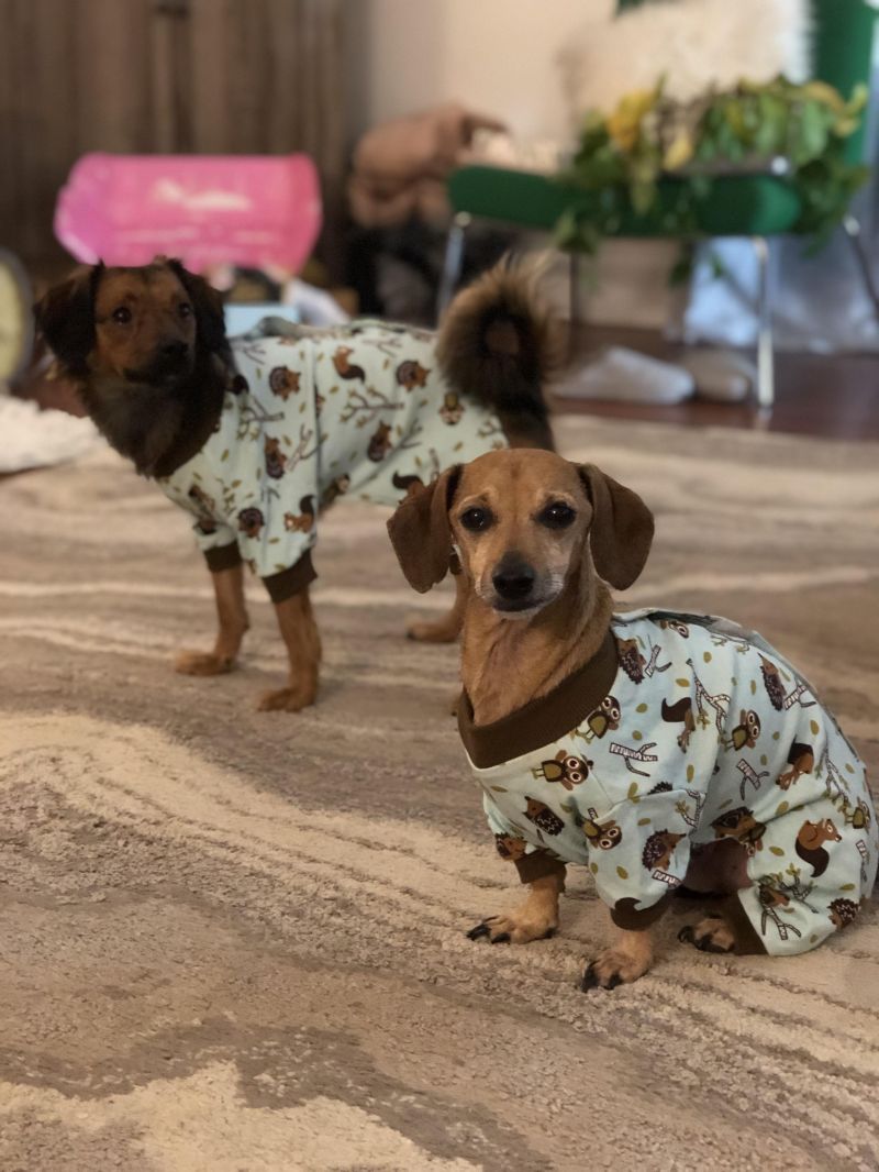 After My First Year On Reddit R Adviceanimals - City Illustrations - Amazing 8K Collection