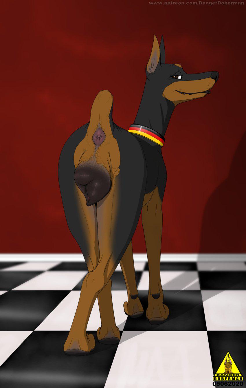 F4M) Wanna Fuck a Doberman? Want to become a hit Beastiality porn star?  This is your place. Her cookie is wetand eager. : rLimitlessrp