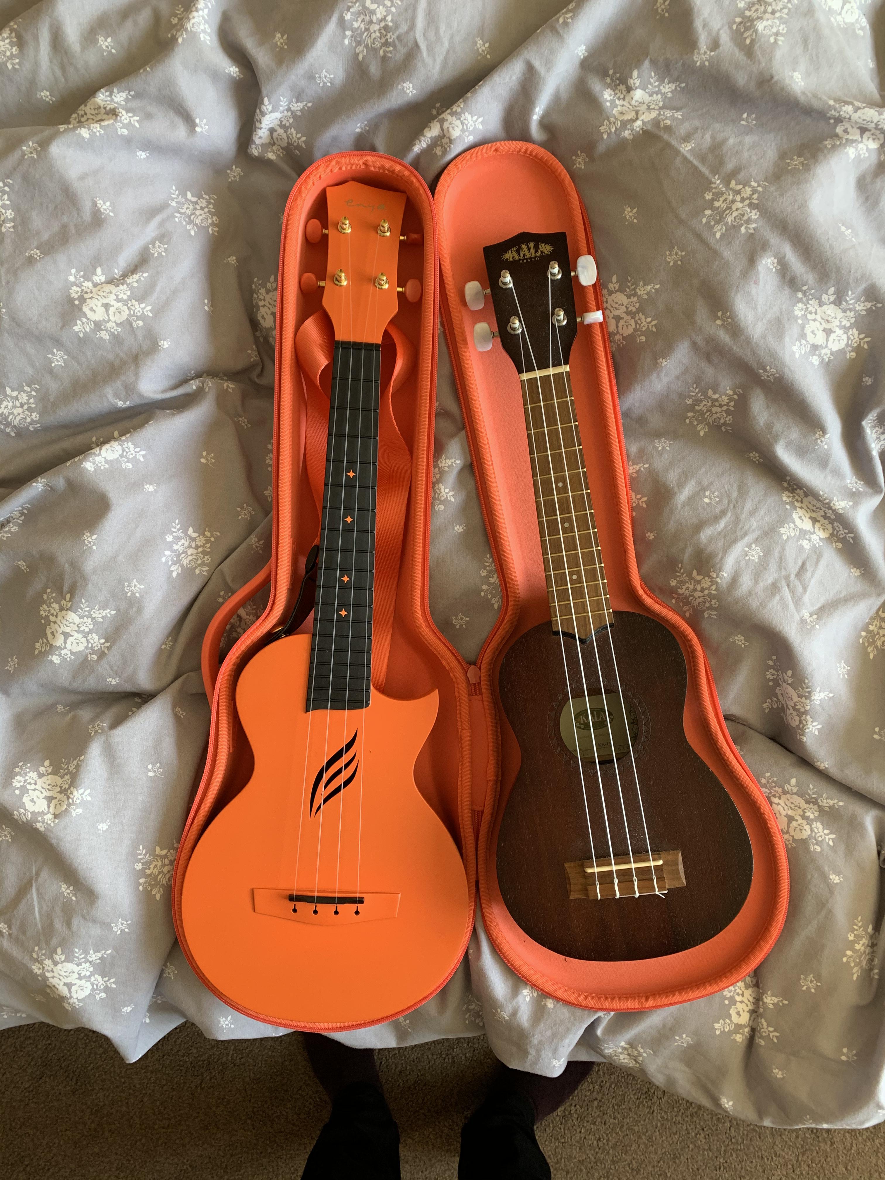 Just Added This Lovely Enya To My Collection And Very Happy That I Did Ukulele Explore 85 alternatives to Mandolin TunerMandolin Tuner and Chords. Just Added This Lovely Enya To My Collection And Very Happy That I Did Ukulele See this in the app Show more.