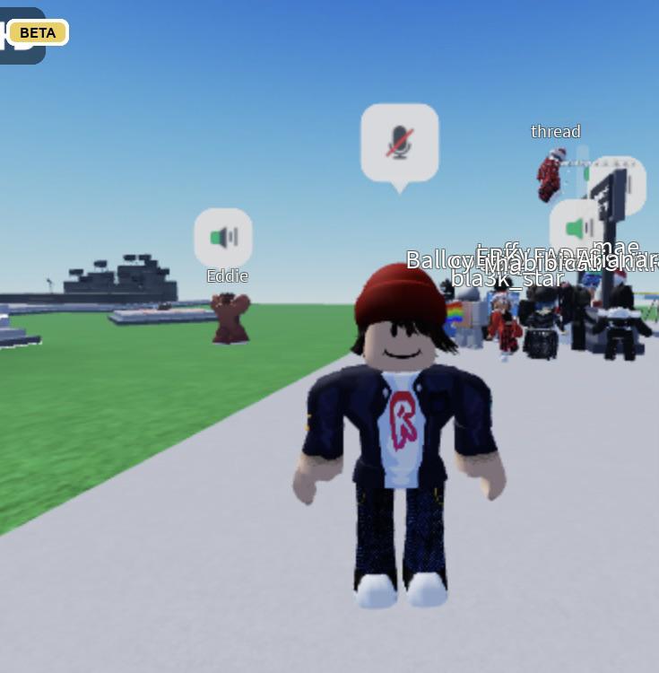 Is Roblox Vc Suspension Permanent At Dwayne Carson Blog 