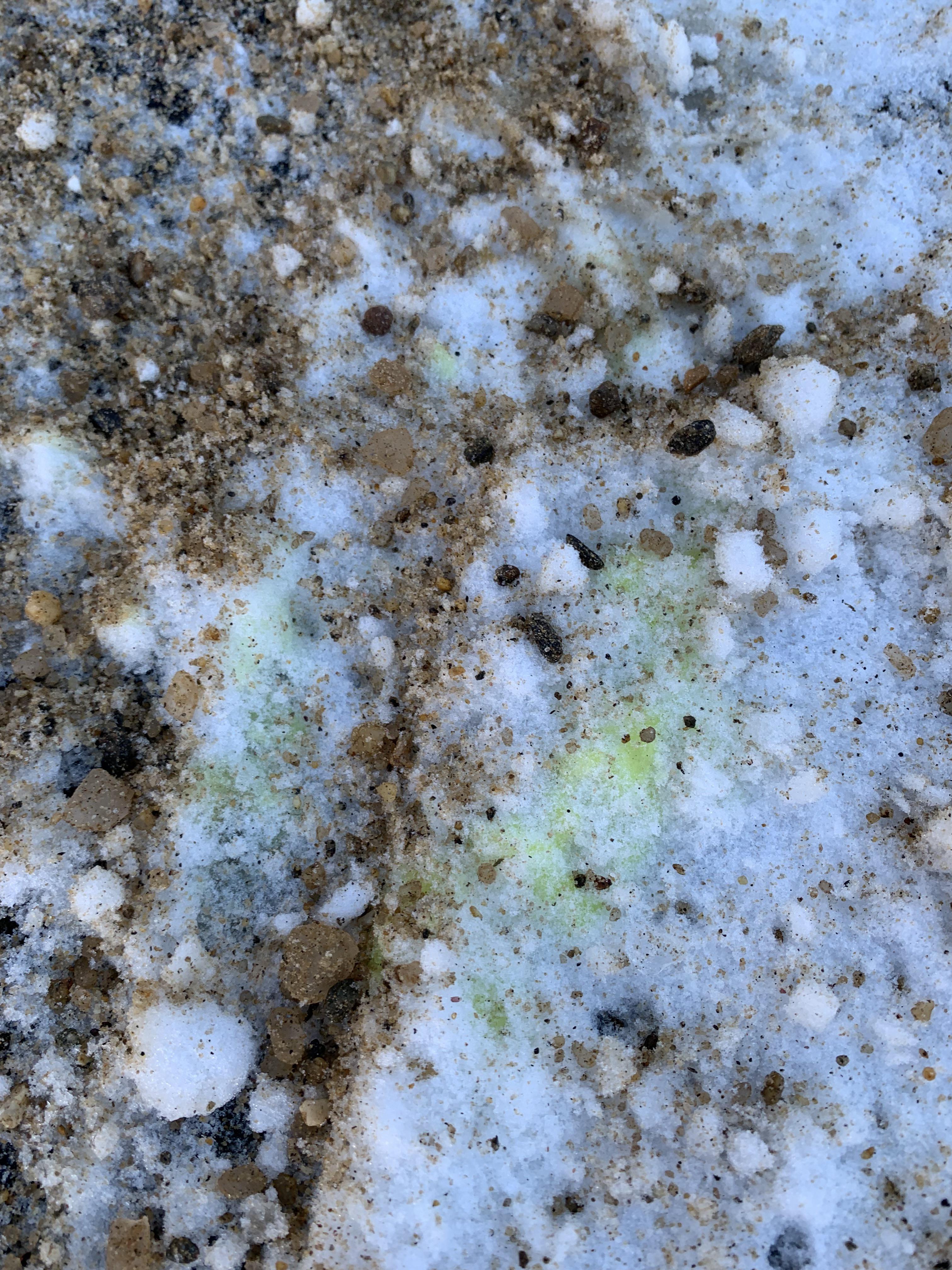 Bright yellow fluid leaking from car any idea what this could be?