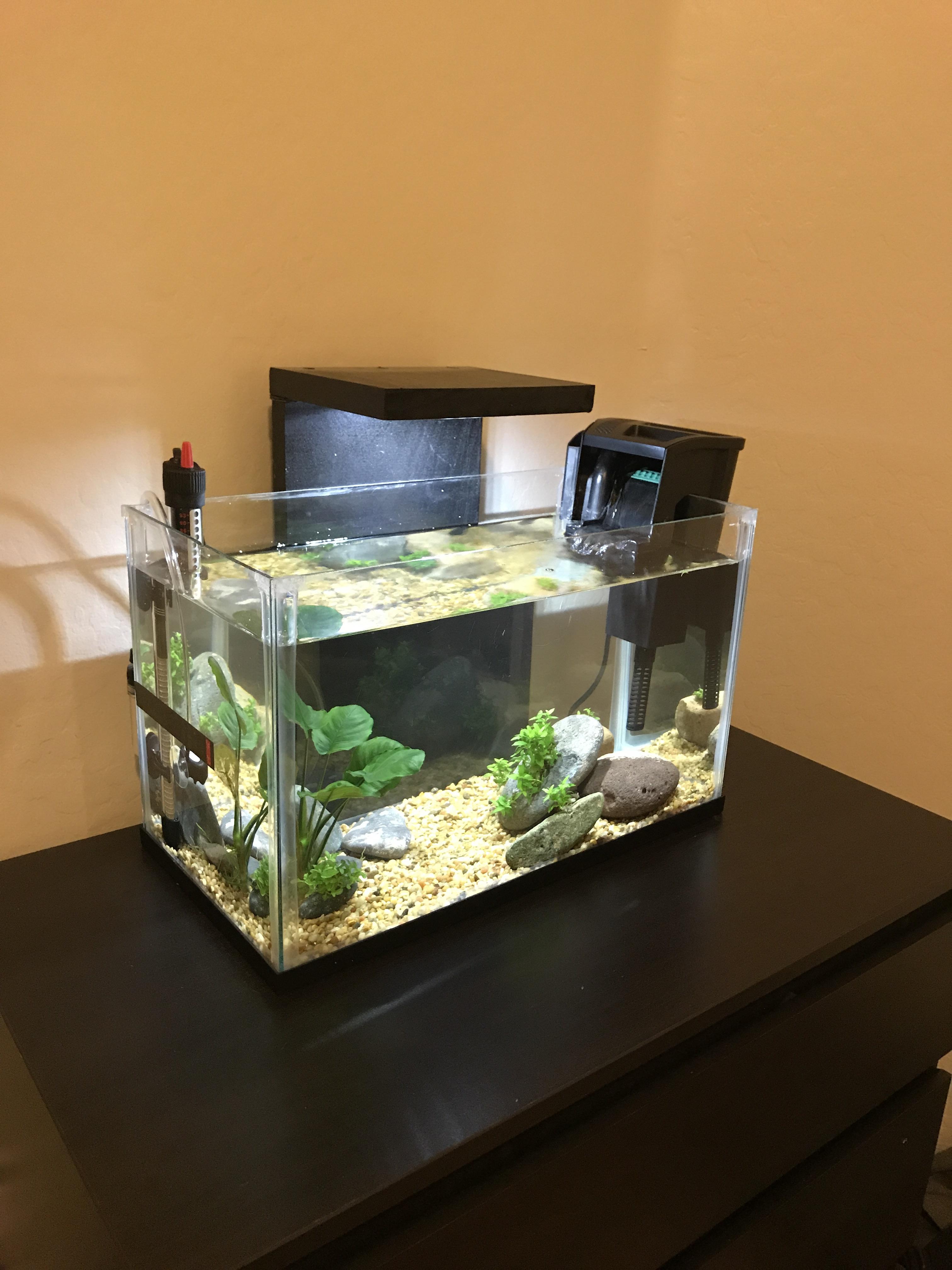 On sale from $74.98 sale view. DIY rimless 10 gallon : Aquariums